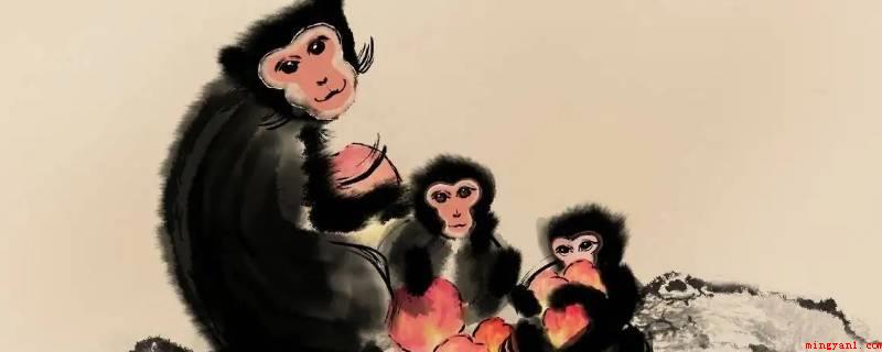 童心未泯打一动物（童心未泯打一动物的答案是猴）