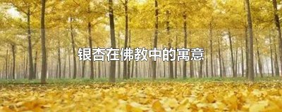 ​银杏的寓意和象征 银杏的寓意是什么
