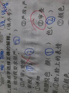 ​审视是什么意思（审视解释）