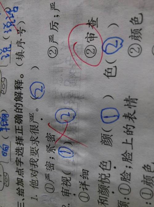 审视是什么意思（审视解释）