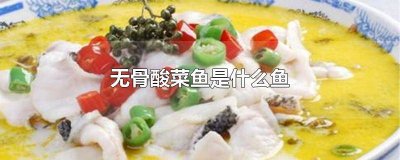 ​无骨酸菜鱼制作方法 酸菜鱼里的无骨鱼是什么鱼