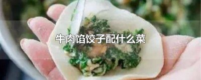 ​牛肉馅饺子配啥菜好 牛肉馅儿饺子配什么菜好吃