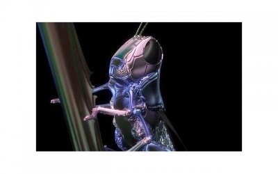 ​七夕节创意礼物，七夕送啥礼物好