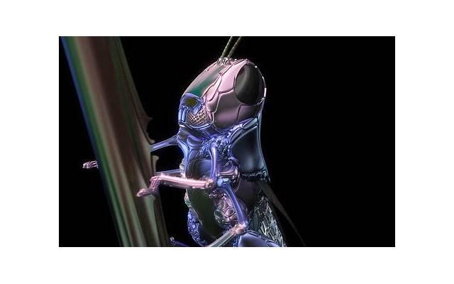  七夕节创意礼物，七夕送啥礼物好