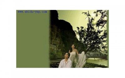 ​张杰和谢娜的婚纱照（张杰和谢娜拍婚纱照的具体地方）