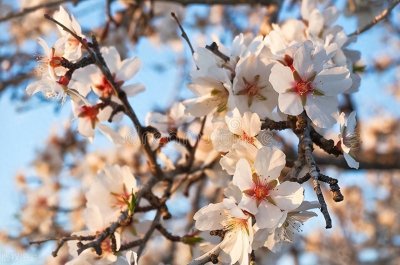 ​五首惊艳的诗词，适合发朋友圈表达心情