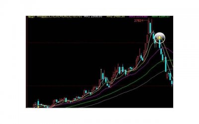 ​生活不易，迟早会发现你只能依靠自己