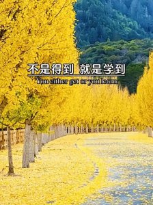 ​人生就是这样