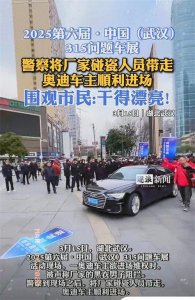 ​奥迪车展维权风波：闹剧背后，车的问题不容忽视