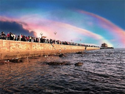 ​山东省青岛市市情