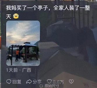 ​太奇葩了！拼多多竟然能买到拖拉机，网友看了评论笑疯！