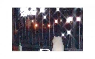 ​我去亲戚家做客，看到亲戚的房子带了一个露台，我吐槽： 露台没用