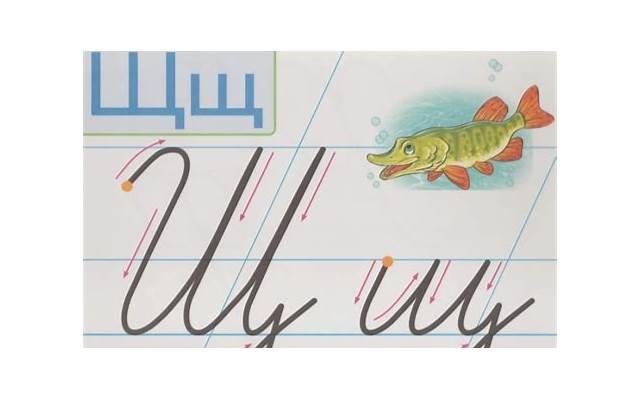 这些渣男写了本女子图鉴里面有5000个睡你的套路