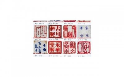 ​叶子与树之间的旷世之爱