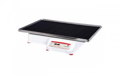 ​那些真心相爱的人，20年后往往都变成了这个样子