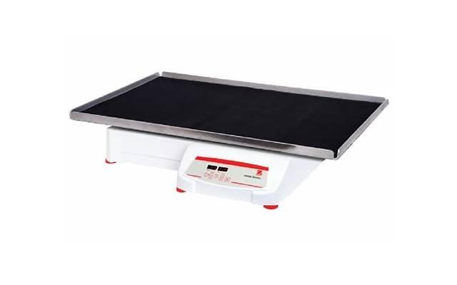 那些真心相爱的人，20年后往往都变成了这个样子