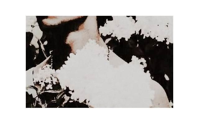 祖国的屈辱历史 祖国的屈辱历史