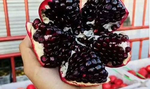 石榴果看外表没有啥毛病吧