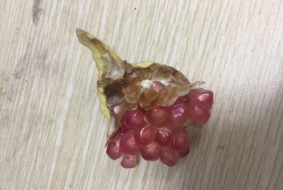 ​石榴里面有点黑了是怎么了,石榴 里面红的发黑 能吃吗