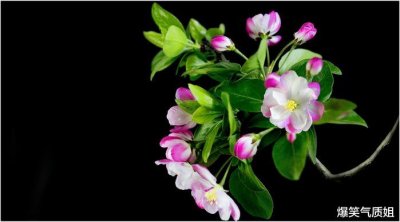 ​当真心的喜欢上一个人时，会产生什么样的感觉呢？