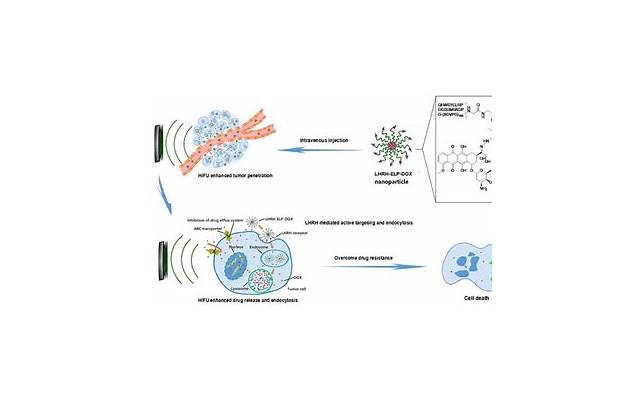 长期口服避孕药有什么危害？口服避孕药的不宜人群有哪些？