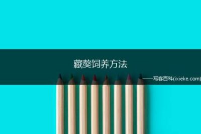 ​藏獒饲养方法，藏獒喂养讲解教程