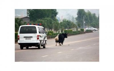 ​还没离婚，老公就要把我赶出家门，把小三接进来