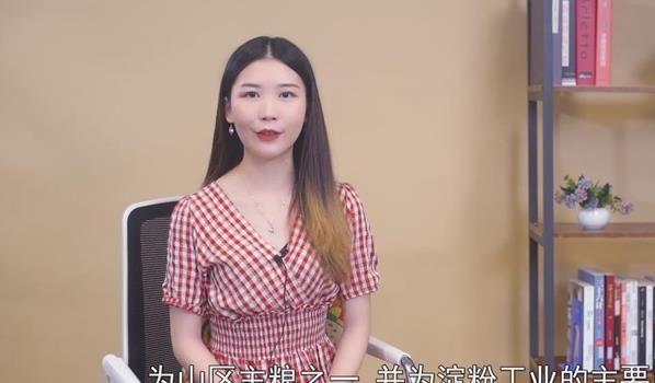 洋芋是什么(阳芋的功效与作用)