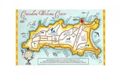 ​微博最火简短说说 一句话个性说说超吸睛(精选20句)