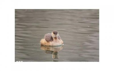 ​婚房几年内不能睡外人