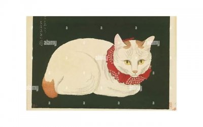 ​有人在交友软件脱单的吗