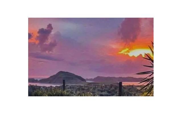 黄海波身高，黄海波暴露的身高让多少明星欲哭无泪