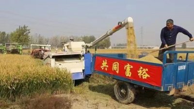 ​“原阳大米”再迎“专家团”