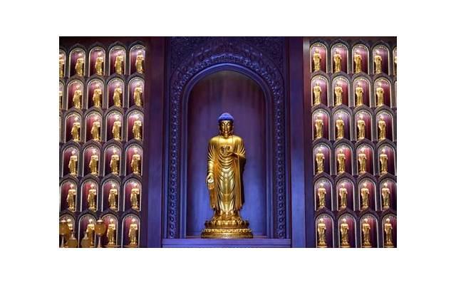 写给老师的一句话 写给老师的一句话