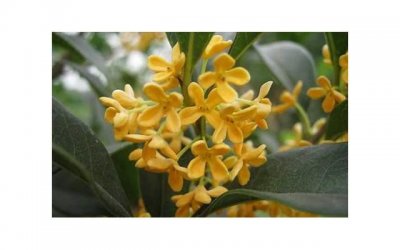 ​陕西宾馆婚宴多少钱一桌