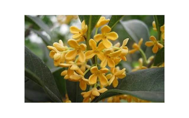 陕西宾馆婚宴多少钱一桌 陕西宾馆婚宴多少钱一桌