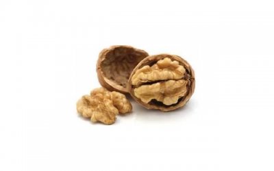 ​俄媒：乌官员称已准备好攻击俄领土