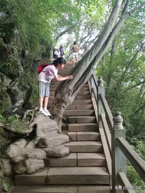 云端仙境——塔云山