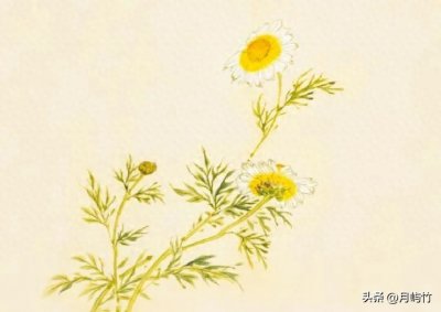 ​莪：念wǒ就错啦！正确读音你知道吗？