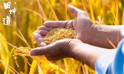 ​开一家粮油店，这些渠道是一定要知道的