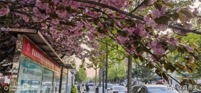 ​关于等产量曲线与等成本线相切的两个命题