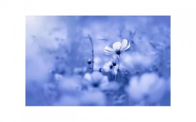 ​为什么对象吃完奶头会痛裂了 女性乳头会痛是什么原因