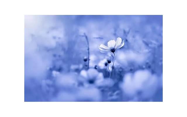 为什么对象吃完奶头会痛裂了 女性乳头会痛是什么原因