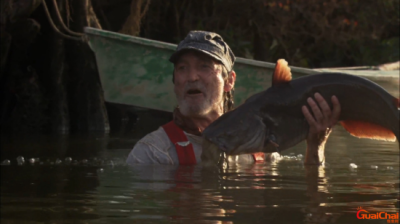 ​科学怪鱼 关于科学怪鱼的简介