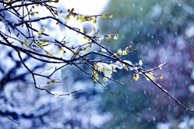 ​如果你忘不掉一个人，你应该怎么做。