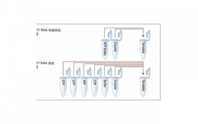 ​婚后男方应该给女方生活费吗（丈夫应该给妻子生活费吗）