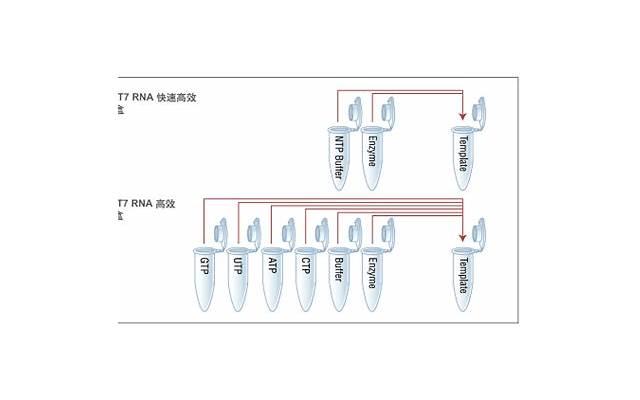 婚后男方应该给女方生活费吗（丈夫应该给妻子生活费吗）