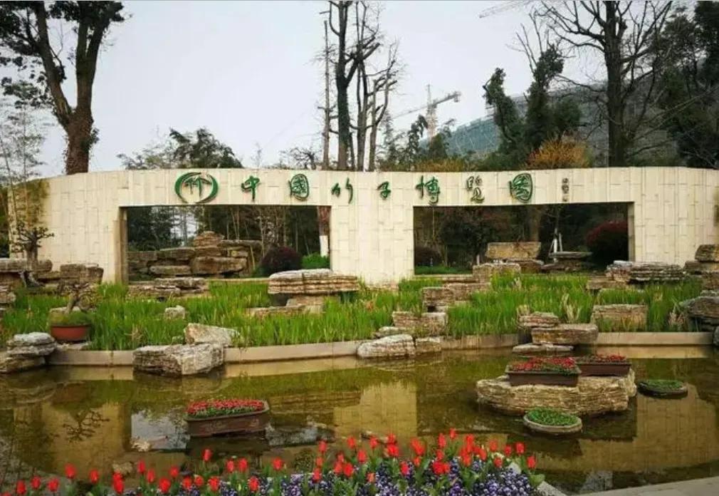 黄浦江的源头在哪里(黄浦江源头在什么地方)