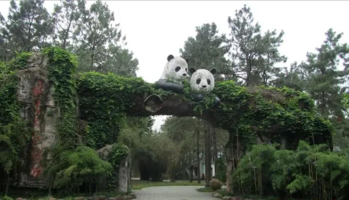 黄浦江的源头在哪里(黄浦江源头在什么地方)