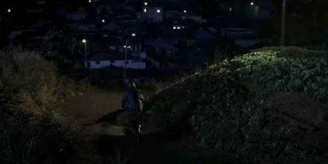 杀人回忆凶手，韩国片＜杀人回忆＞最后的凶手是谁？图14